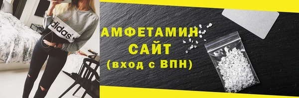 трава Белокуриха