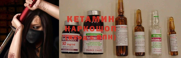 трава Белокуриха