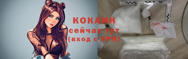 трава Белокуриха