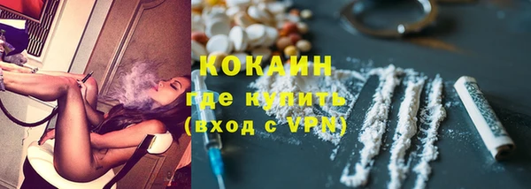 трава Белокуриха