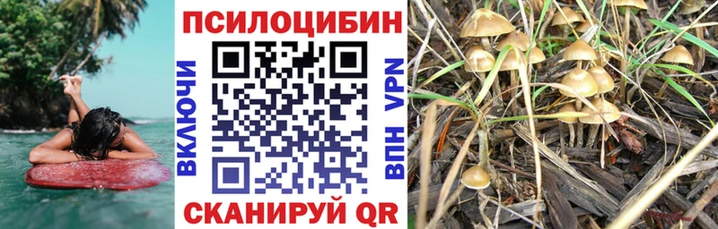 Галлюциногенные грибы ЛСД  купить наркотик  Вольск 